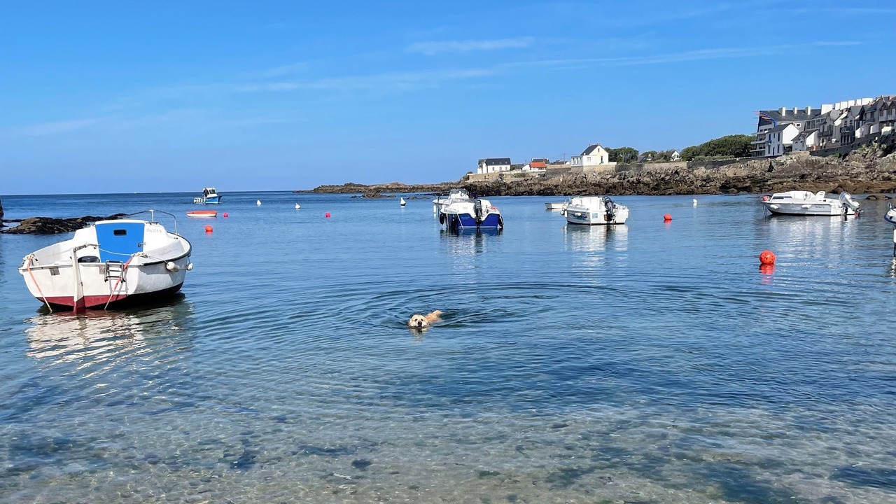Photo of Outdoor in Batz-sur-Mer
