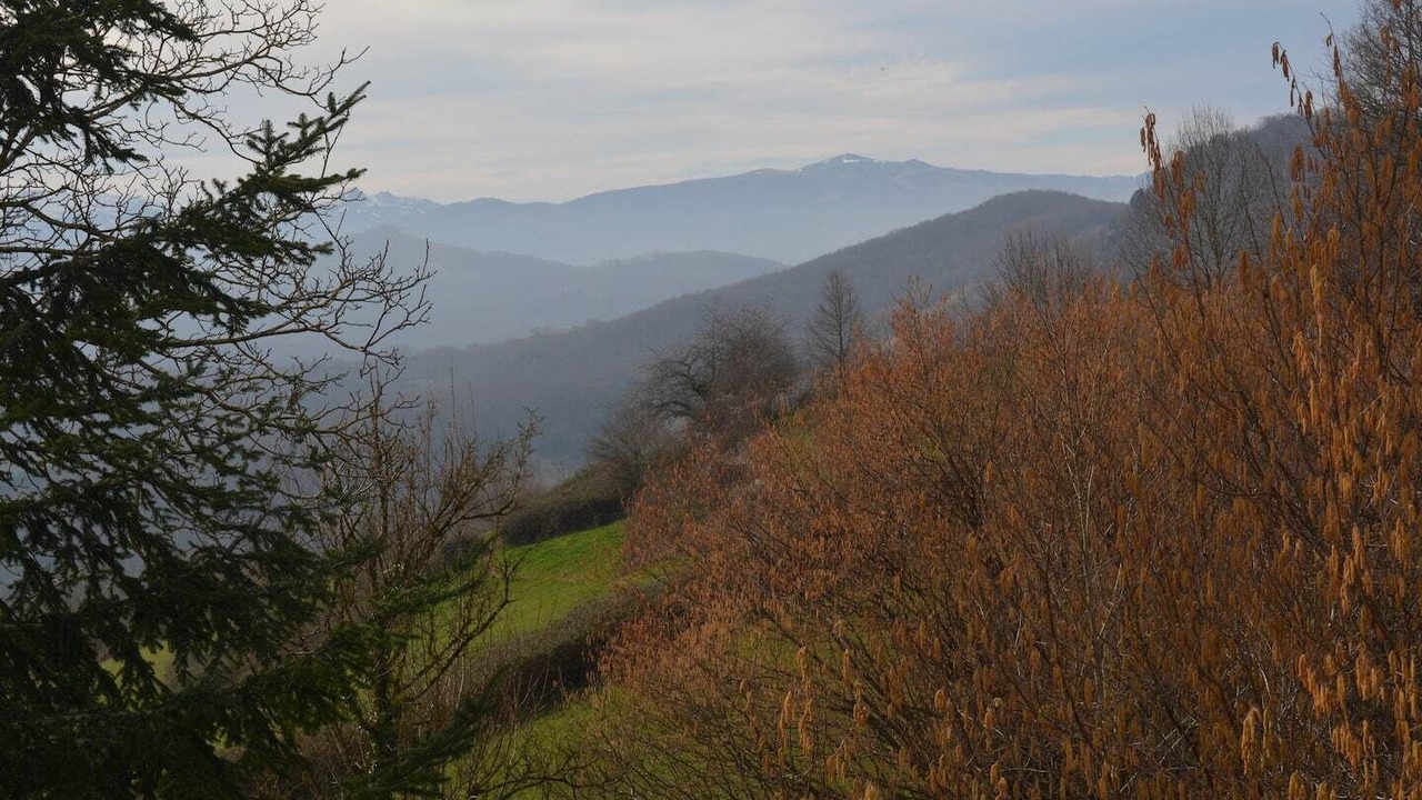 Photo of Outdoor in Lavelanet