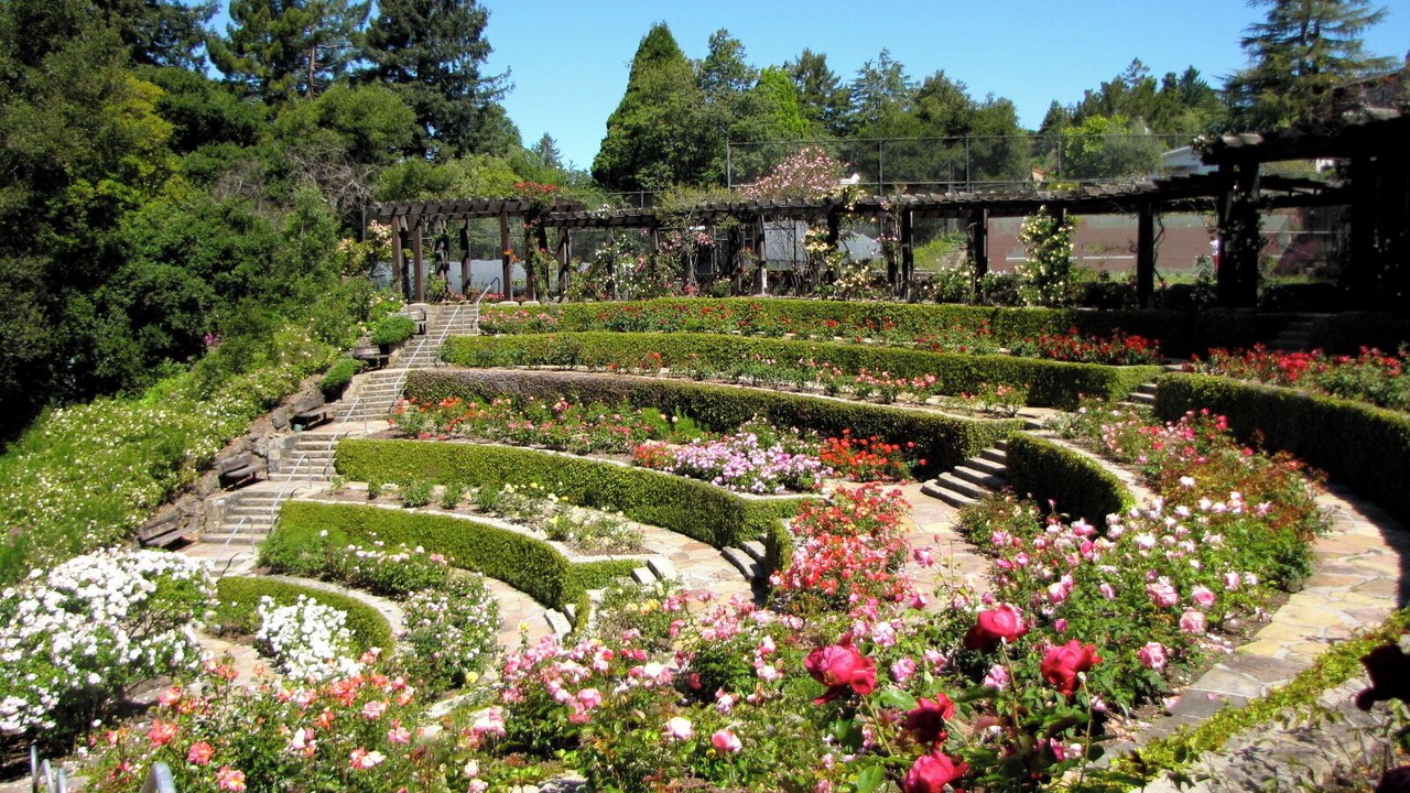 Photo of Outdoor in Berkeley Hills