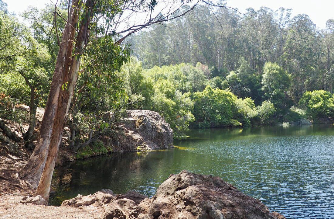 Photo of Others in Berkeley Hills