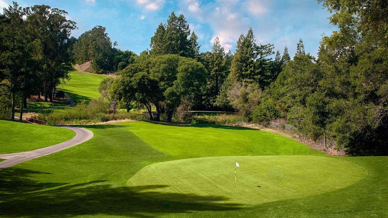 Photo of Others in Berkeley Hills