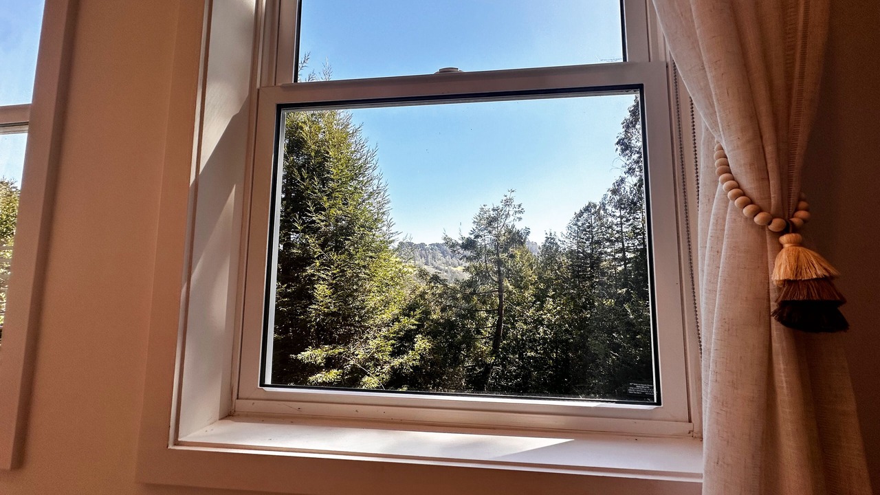 Photo of Others in Berkeley Hills