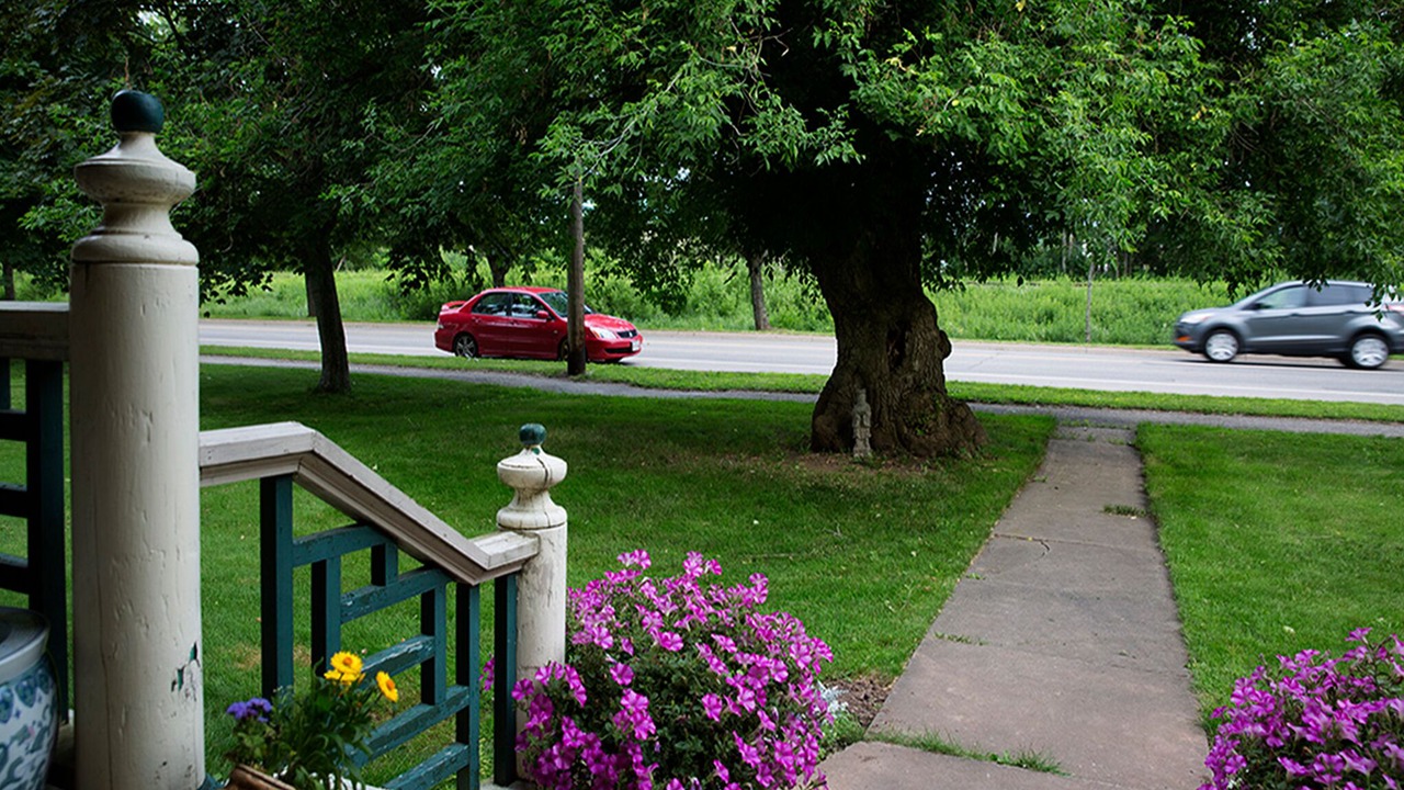 Photo of Outdoor in Sussex