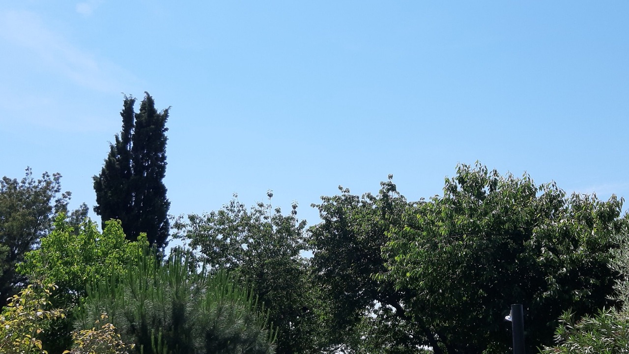 Photo of Outdoor in Carbonne