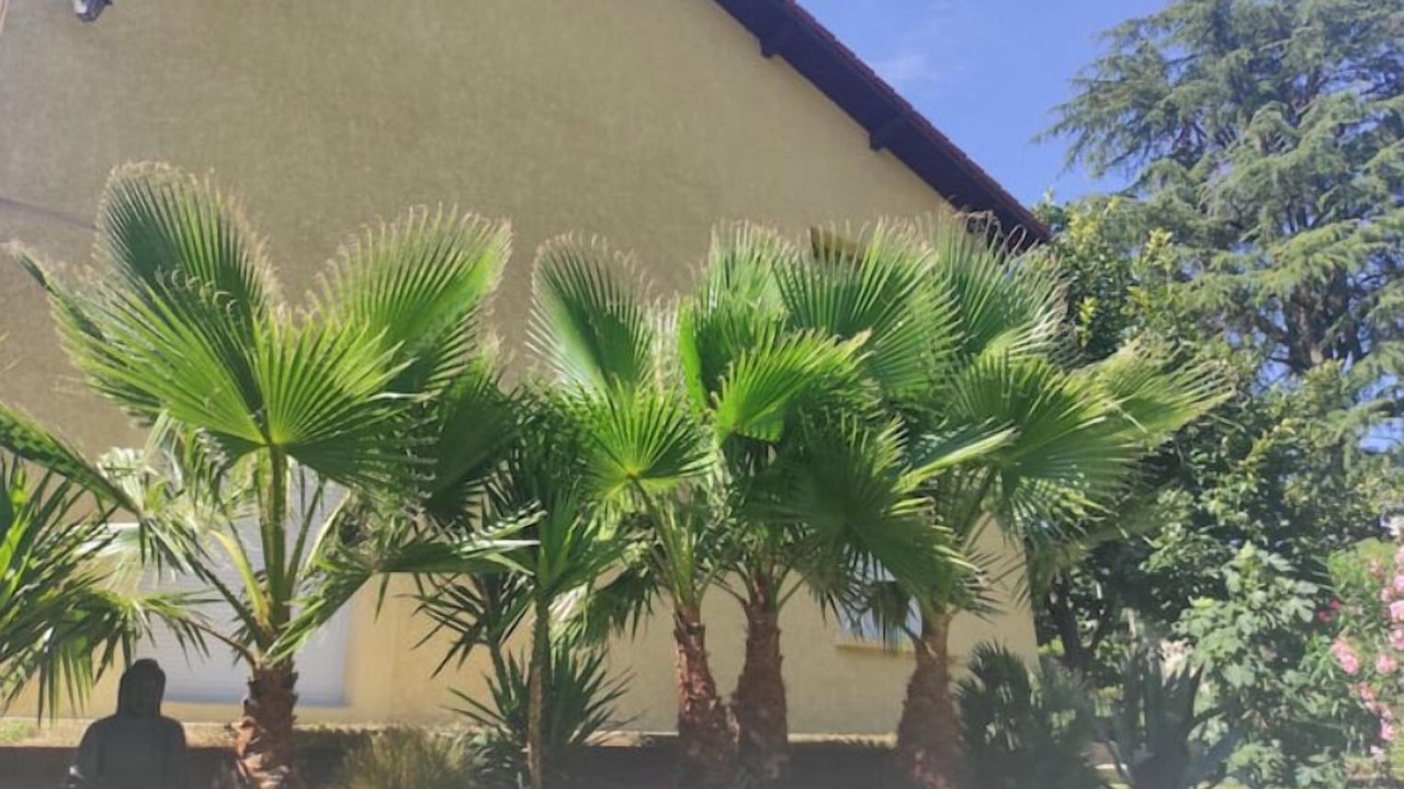 Photo of Outdoor in Romans-sur-Isere