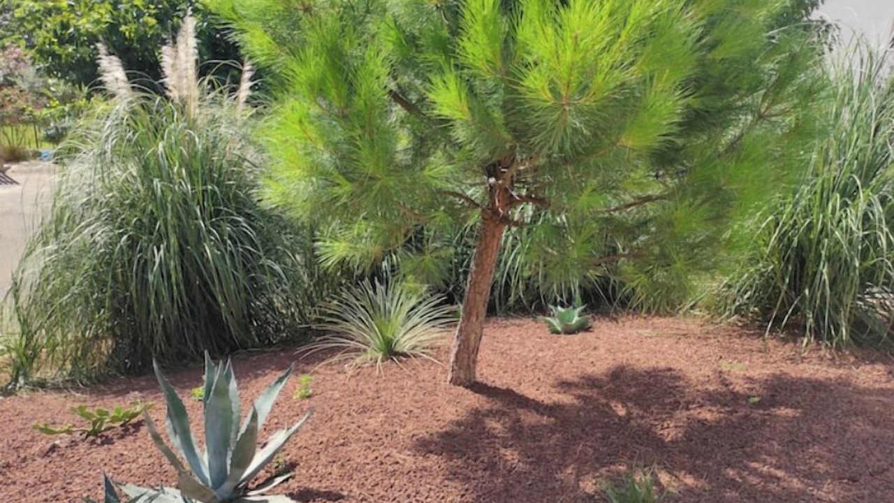 Photo of Others in Romans-sur-Isere