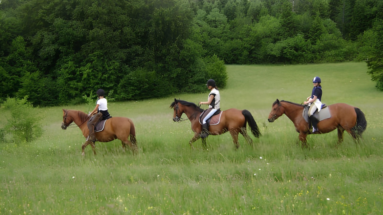 Photo of Others in Thezillieu