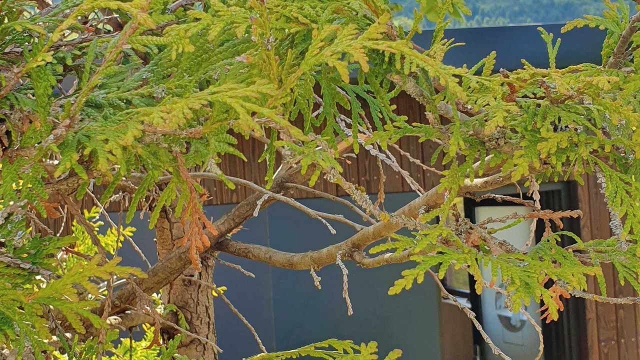 Photo of Outdoor in Thezillieu