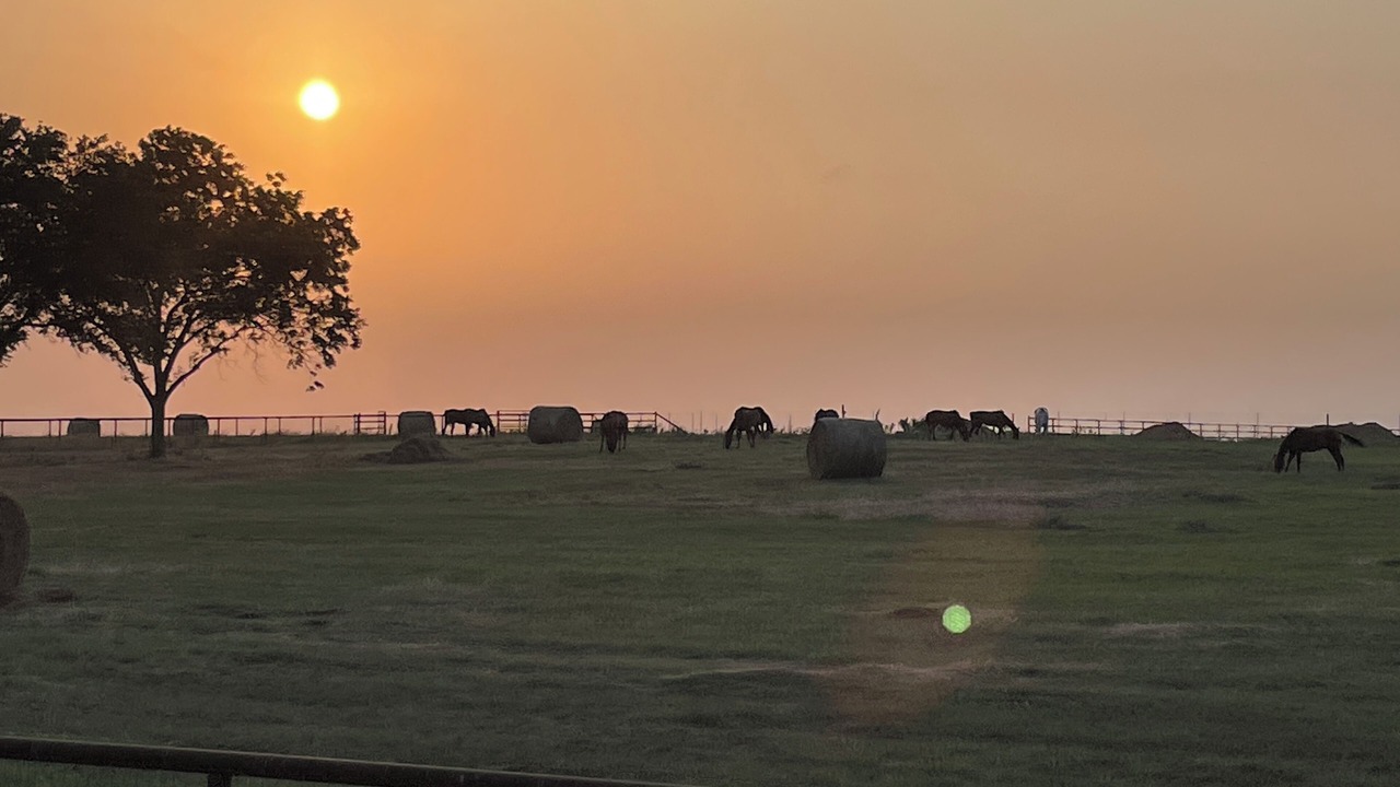 Photo of Others in Riesel