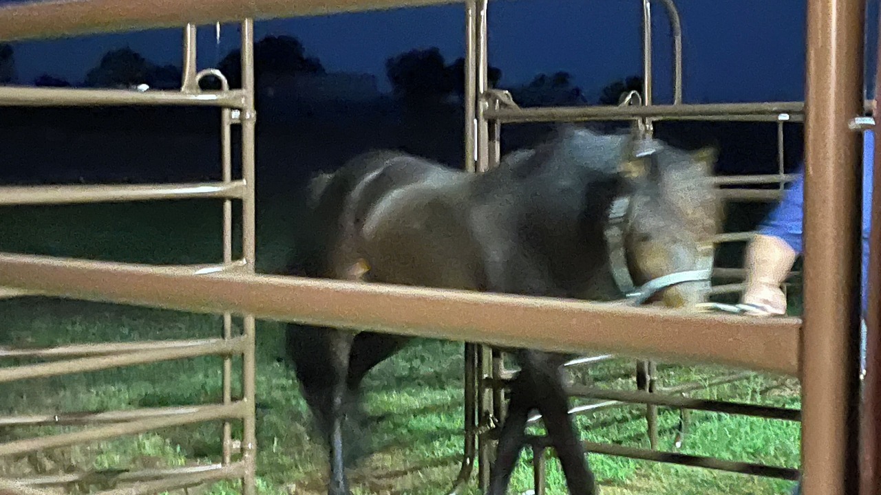 Photo of Others in Riesel
