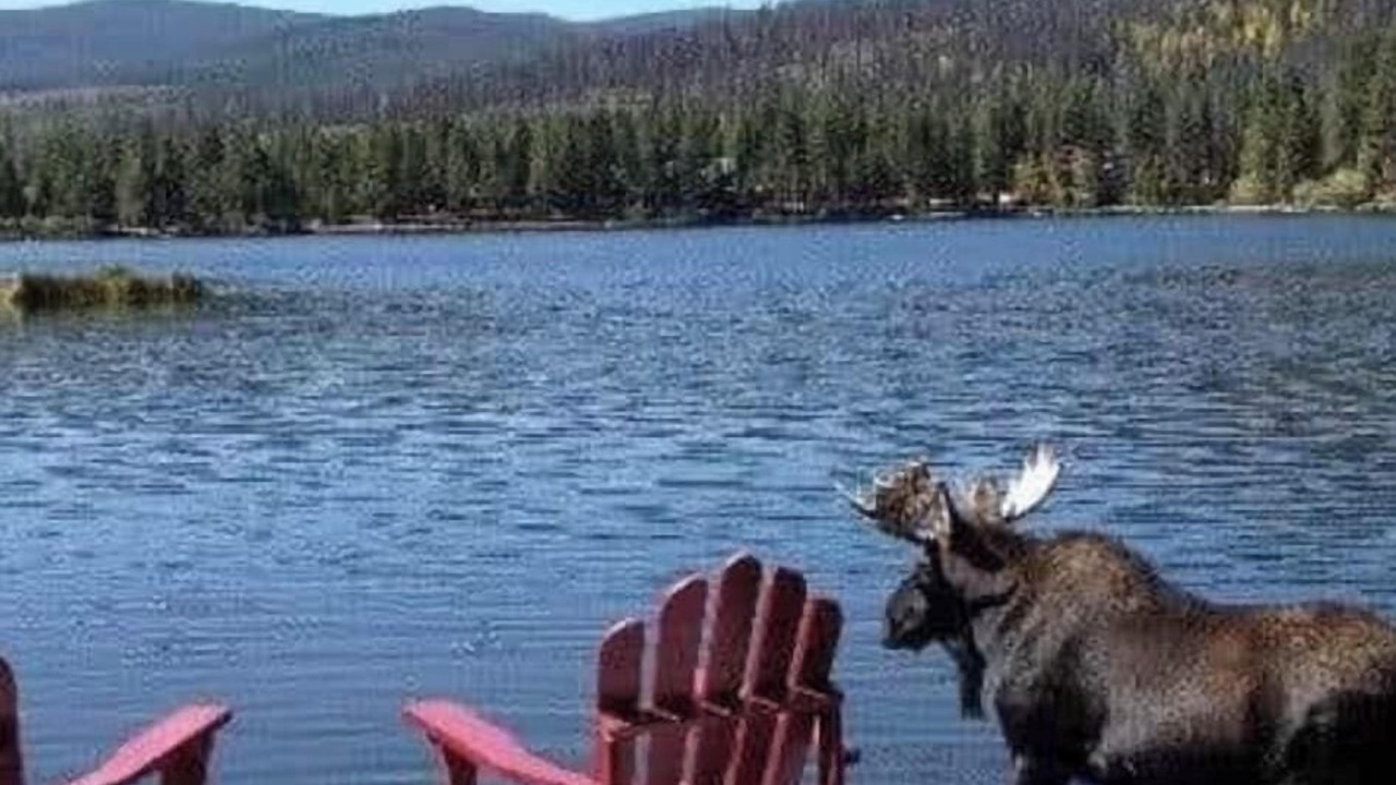 Photo of Outdoor in Chase