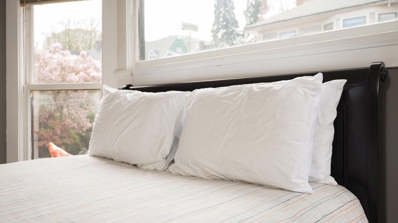 Photo of Others in Goose Hollow