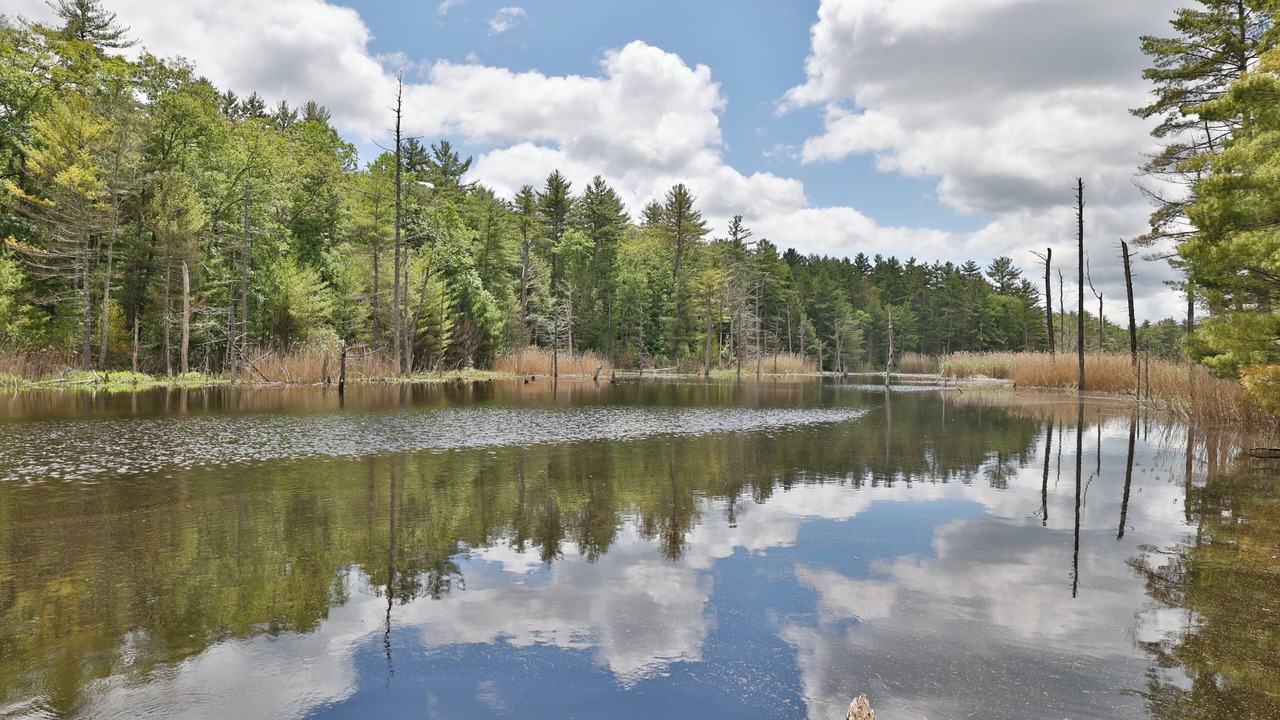 Photo of Others in Eldred