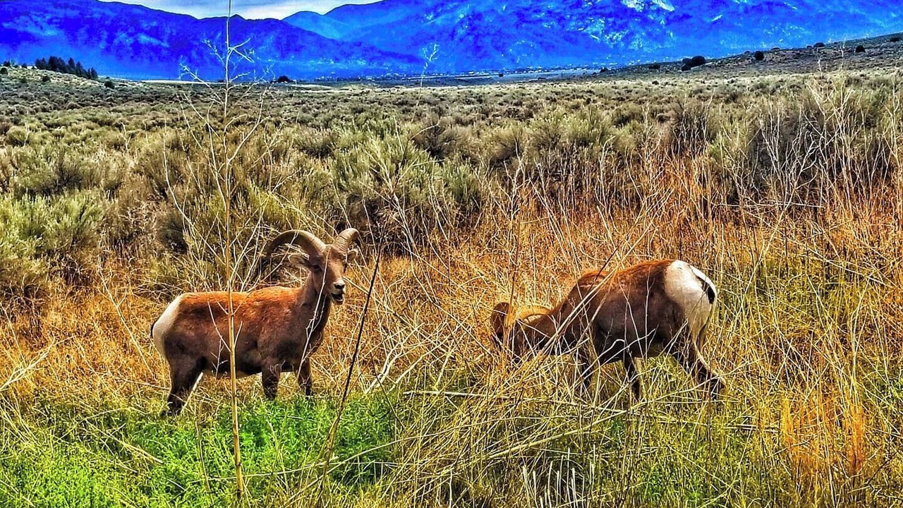 Photo of Others in Arroyo Hondo