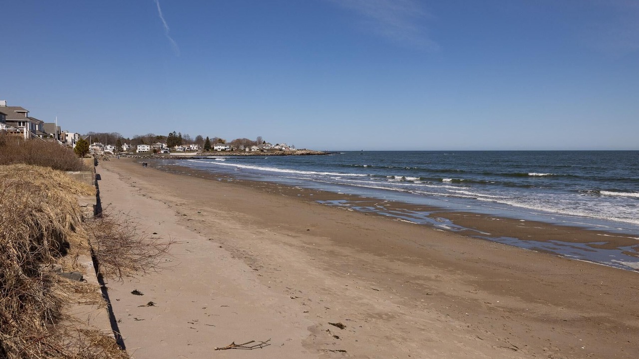 Photo of Others in Rye