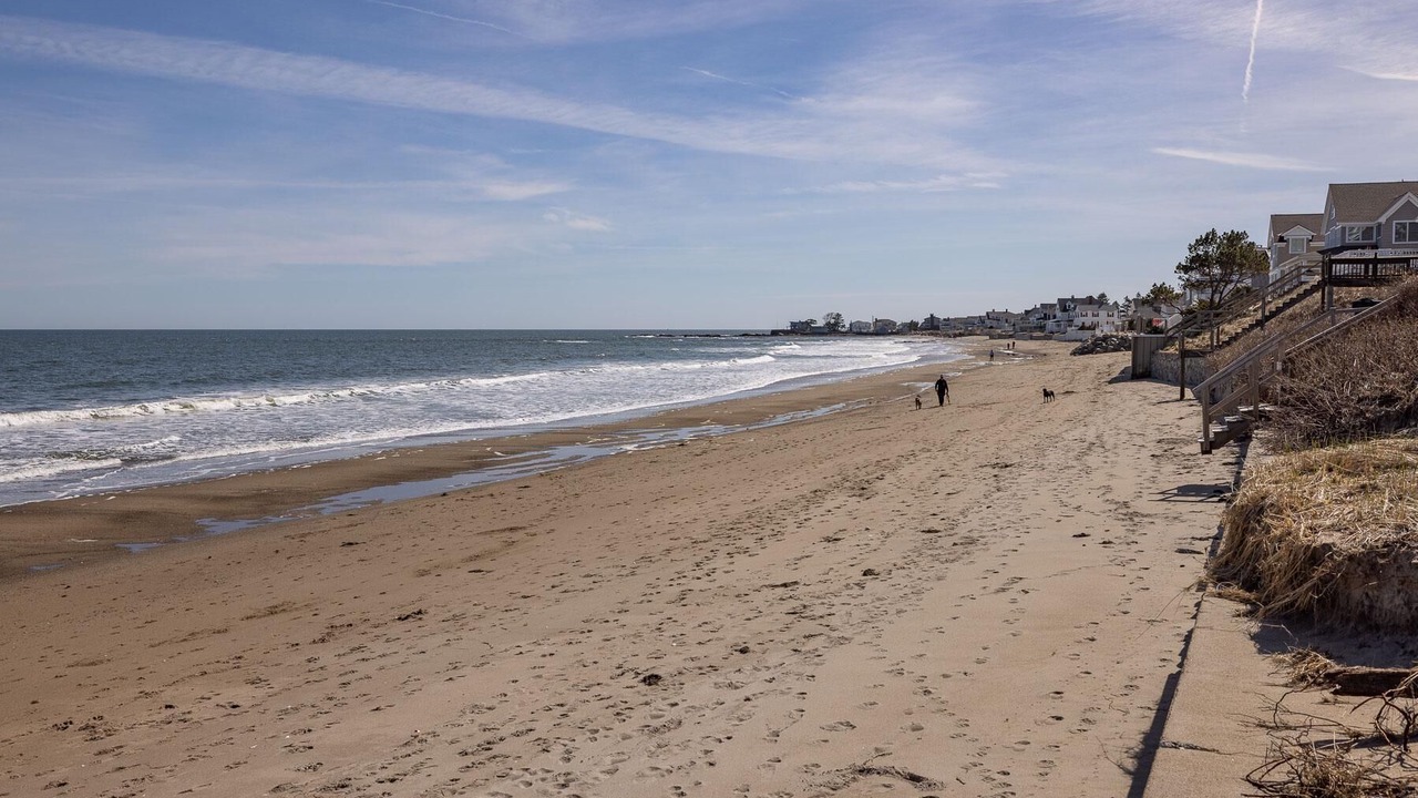 Photo of Others in Rye