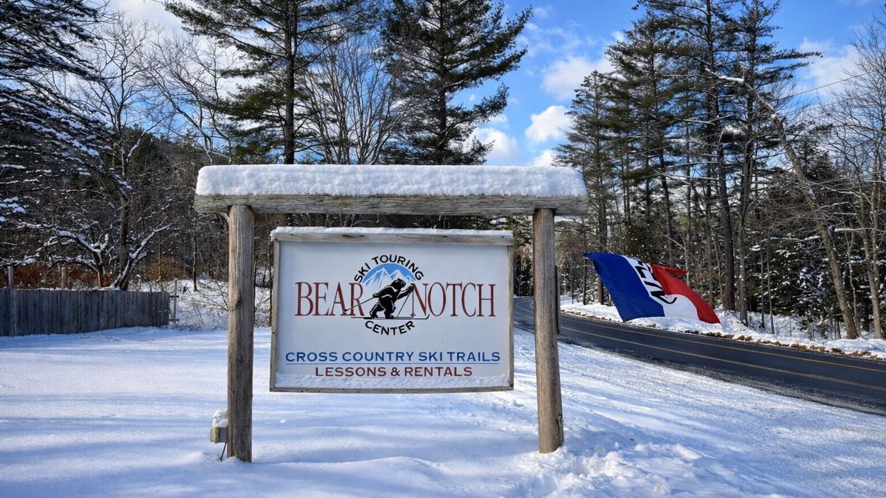 Photo of Others in Bartlett