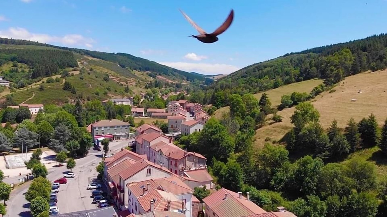 Photo of Outdoor in Saint-Cirgues-en-Montagne