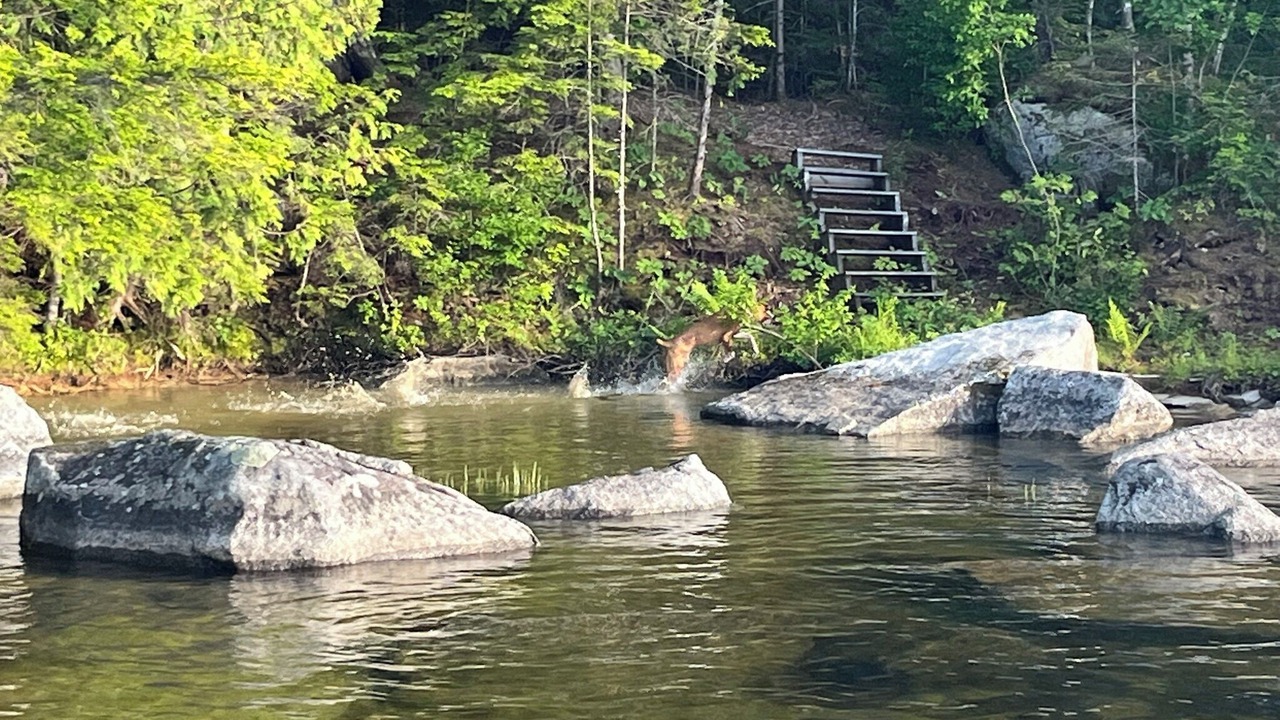 Photo of Others in Lowell