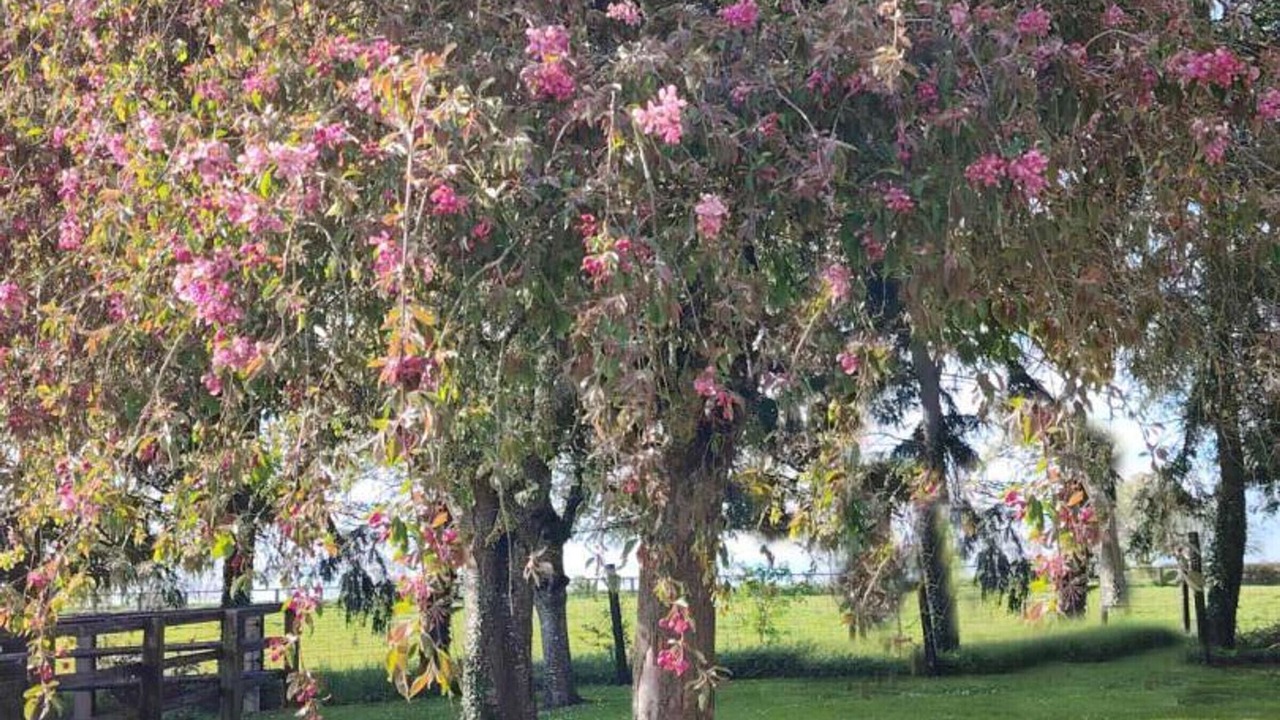 Photo of Outdoor in Boitron
