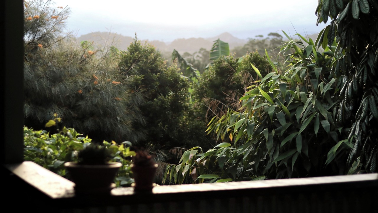Photo of Others in Nimbin