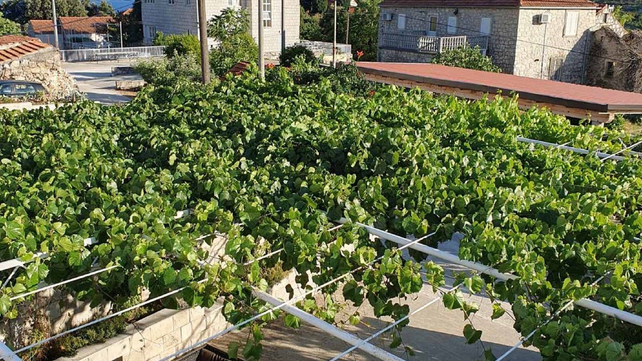 Photo of Outdoor in Kobas