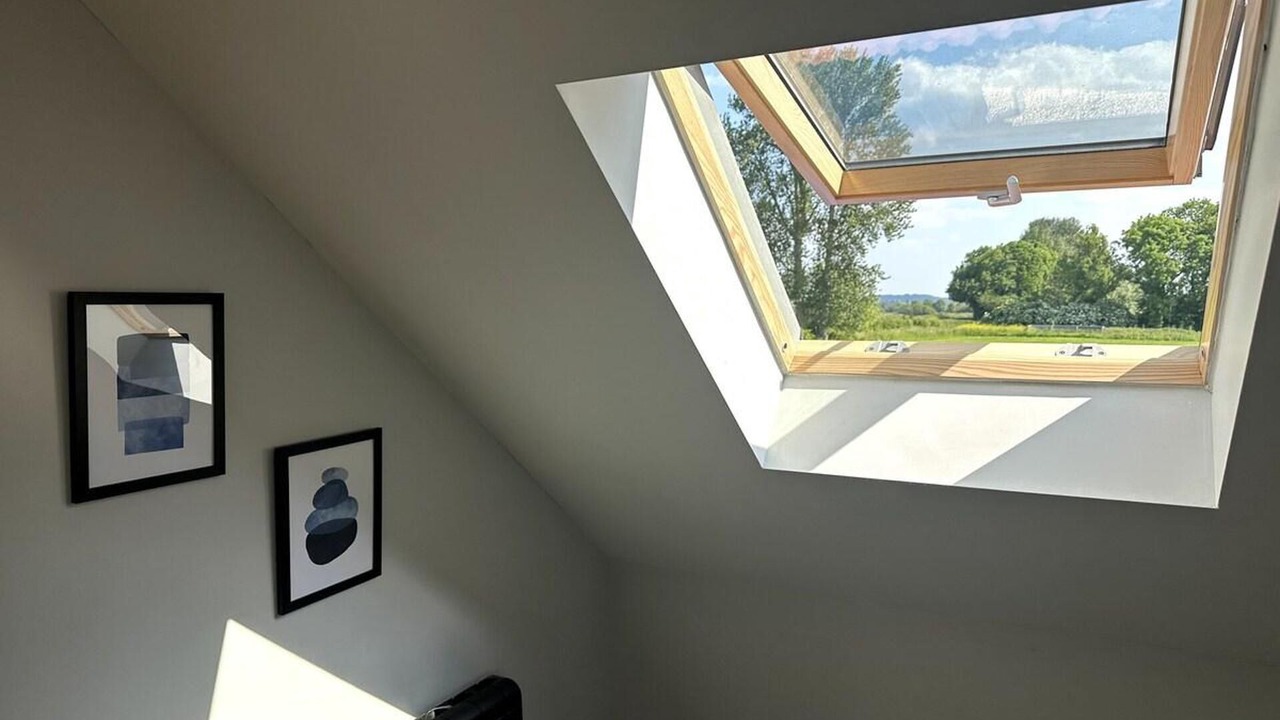 Photo of Others in Street