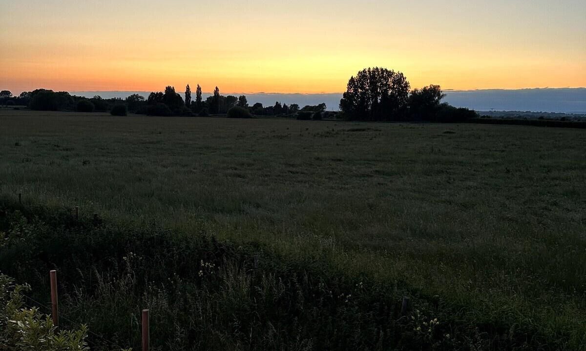 Photo of Others in Street