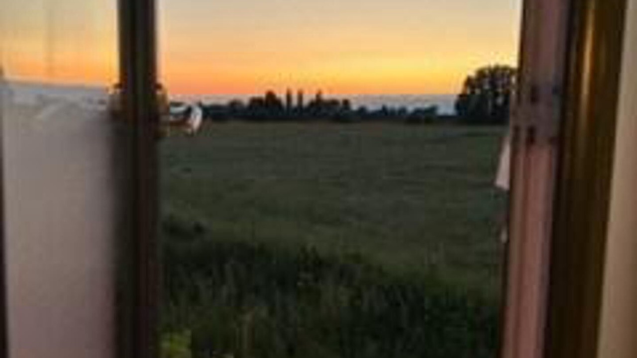 Photo of Others in Street