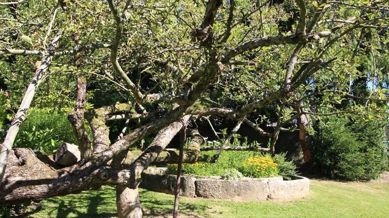 Photo of Outdoor in Saint-Loup