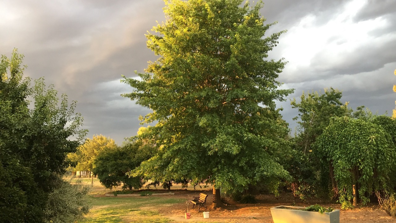 Photo of Outdoor in Milawa