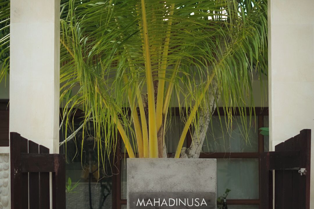 Photo of Outdoor in Jungut Batu