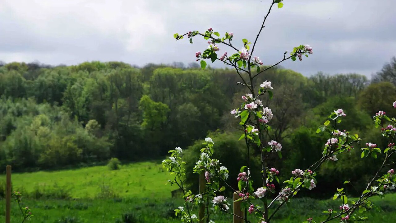 Photo of Outdoor in Etchinghill