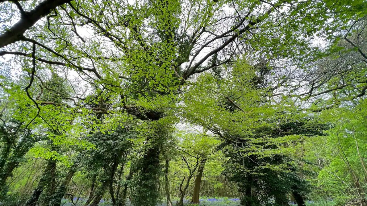 Photo of Others in Etchinghill