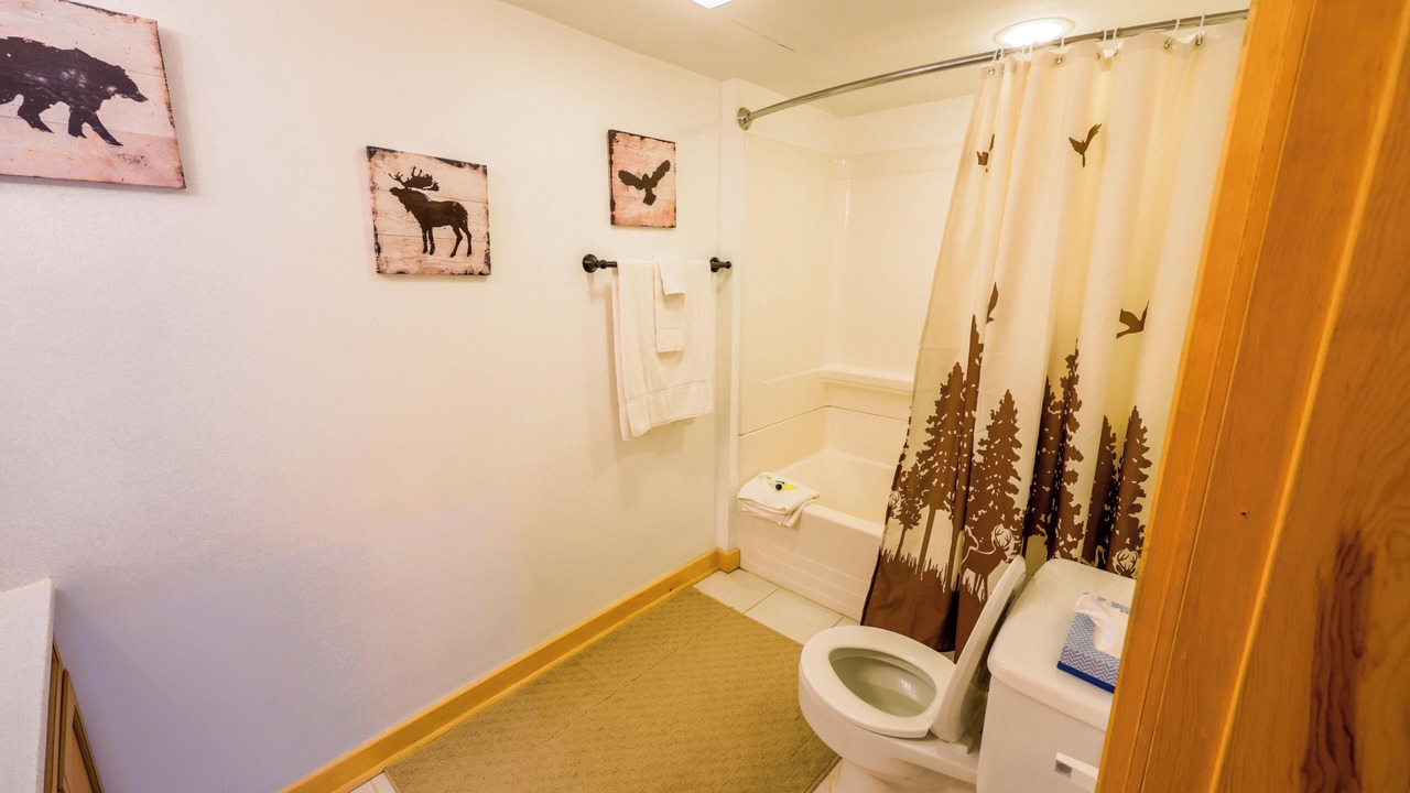 Photo of Bathroom in Greenville