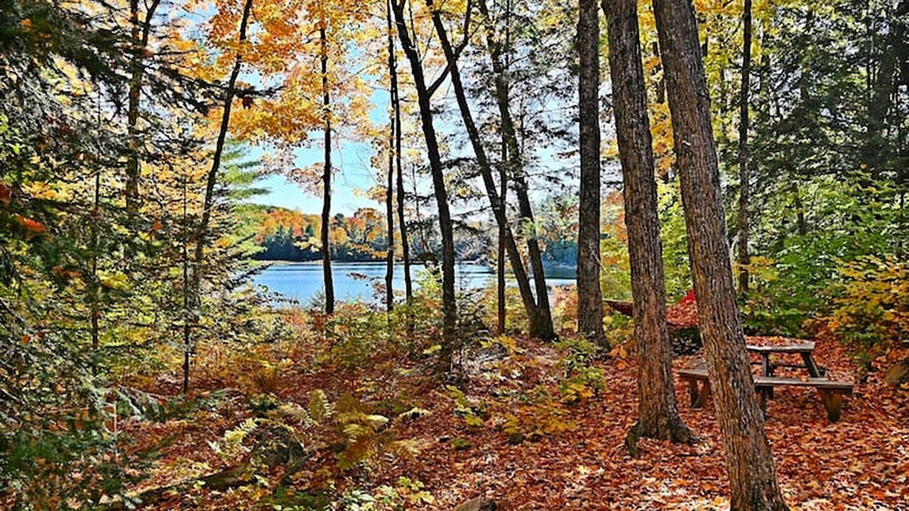 Photo of Outdoor in Cantley