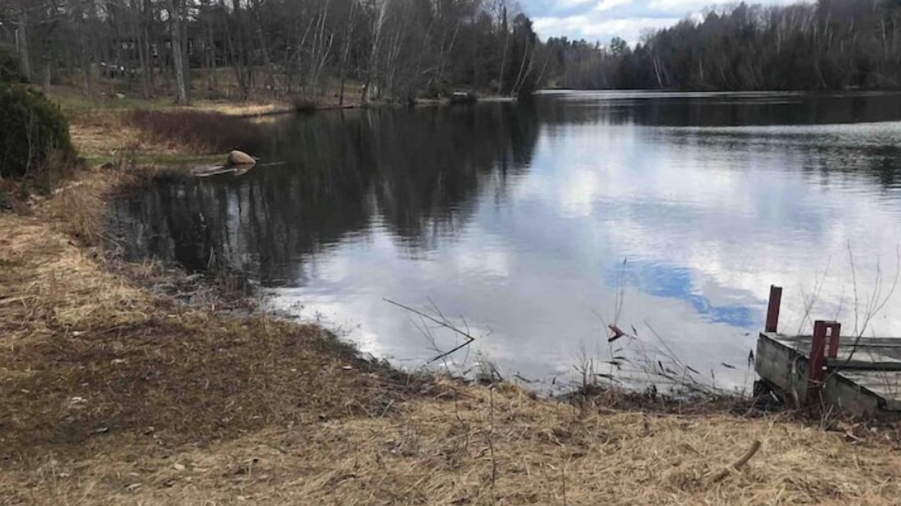 Photo of Others in Sainte-Ann-des-Lacs