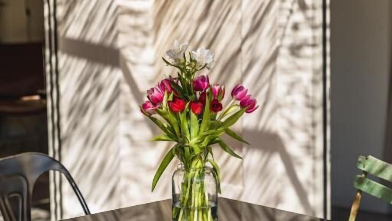Photo of Patio Balcony in Pezenas