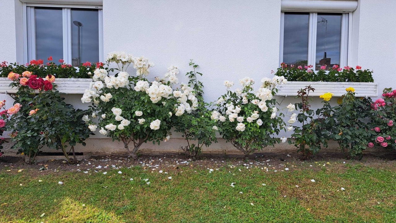 Photo of Outdoor in Reims