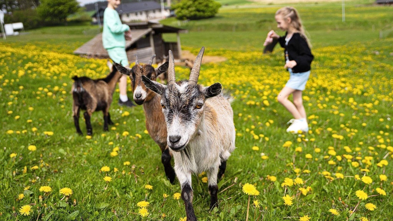 Photo of Others in Hanstholm