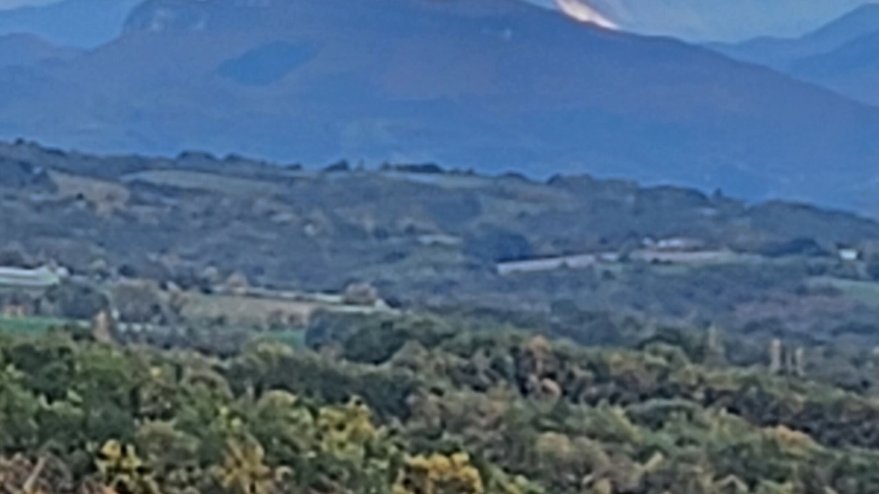 Photo of Others in Ausseing