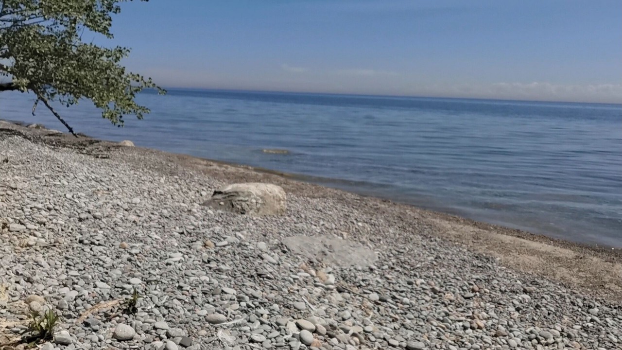 Photo of Others in Bowmanville