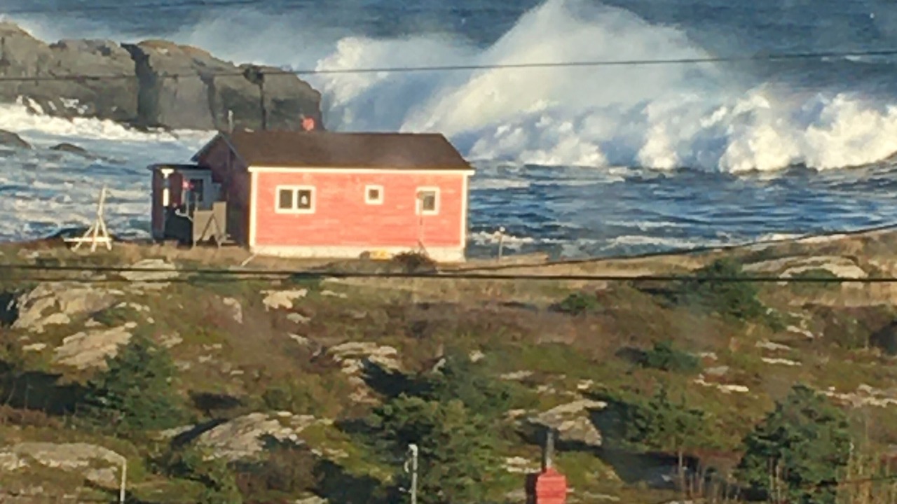Photo of Outdoor in Hants Harbour