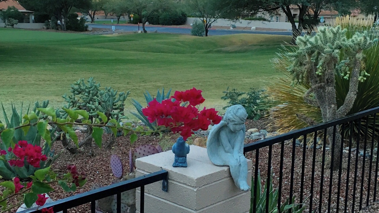 Photo of Outdoor in Saddlebrooke