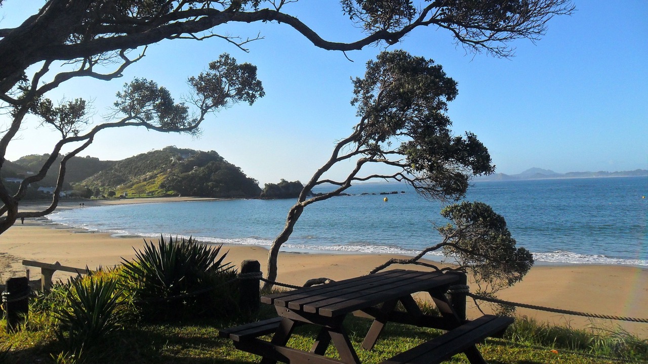 Photo of Outdoor in Tutukaka