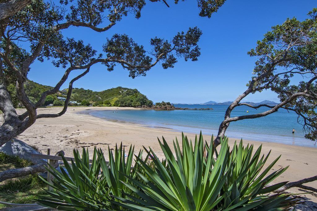 Photo of Others in Tutukaka