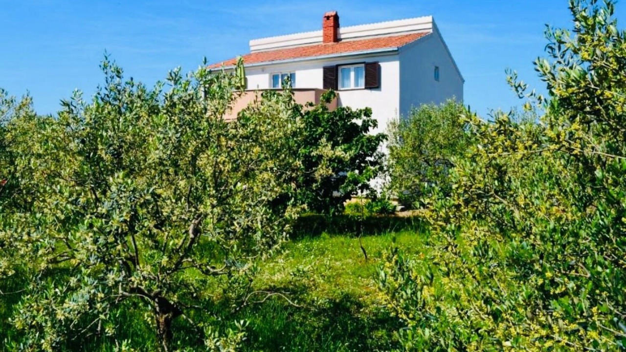 Photo of Outdoor in Gornje Selo