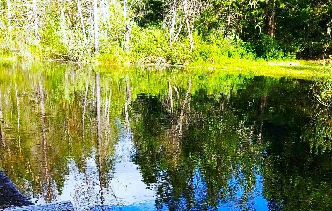 Photo of Others in Cave Junction