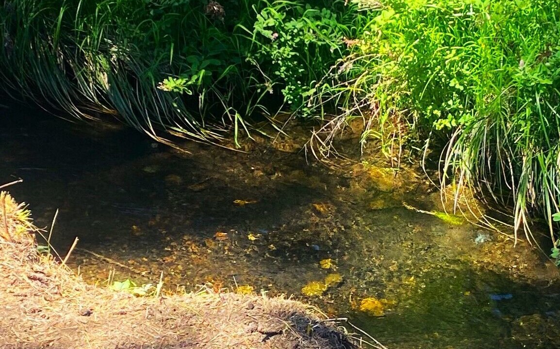 Photo of Outdoor in Cave Junction