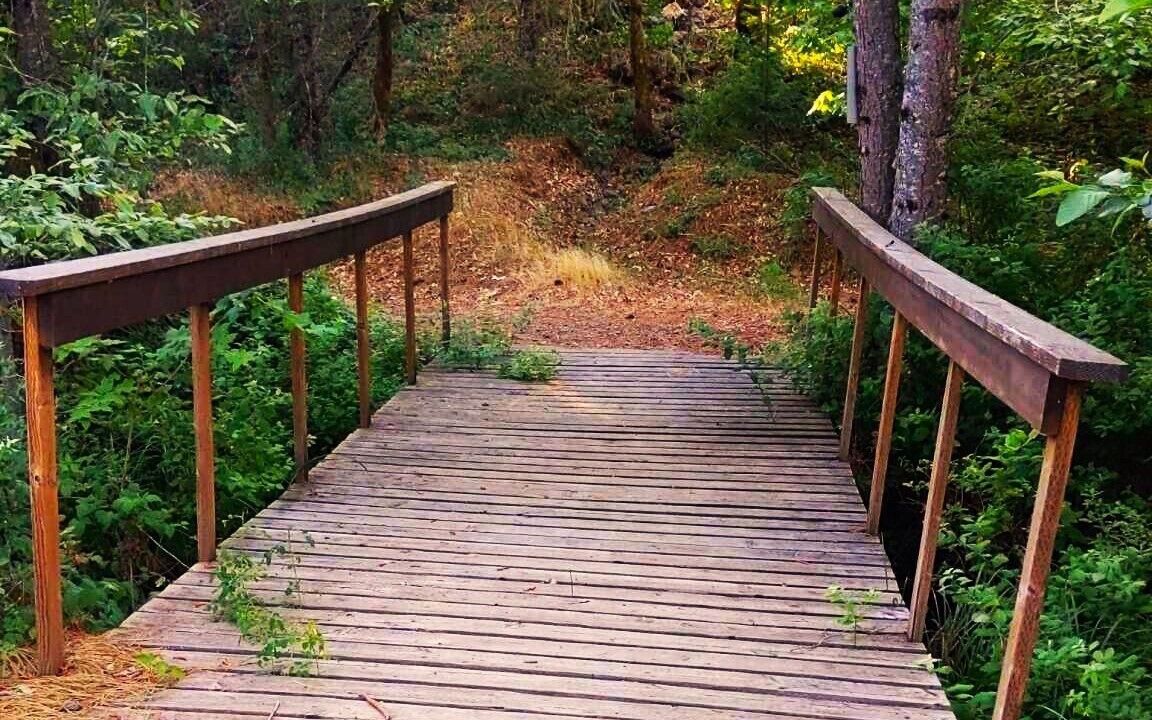 Photo of Outdoor in Cave Junction